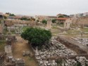 Ruins of the Library of Hadrian from 134 AD